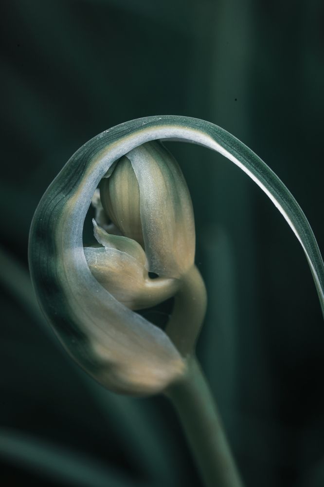 Photograph by Ольга Шайдулина