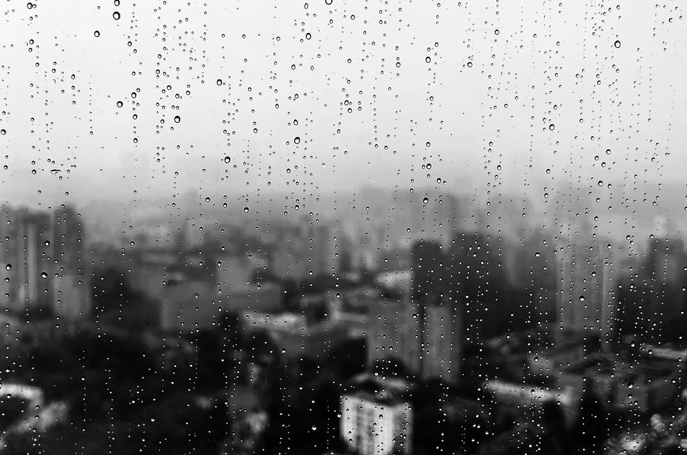 Деловой дождь / The business rain