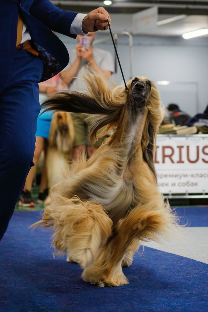 Photograph by Людмила Бандурина