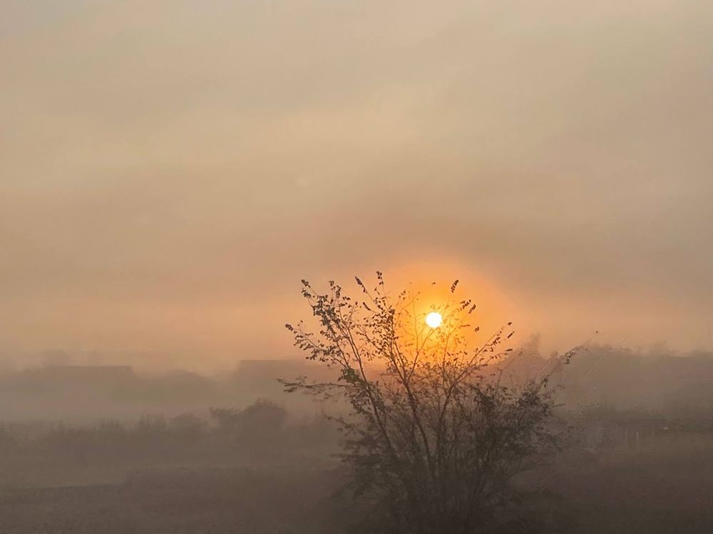 Photograph by Юлия