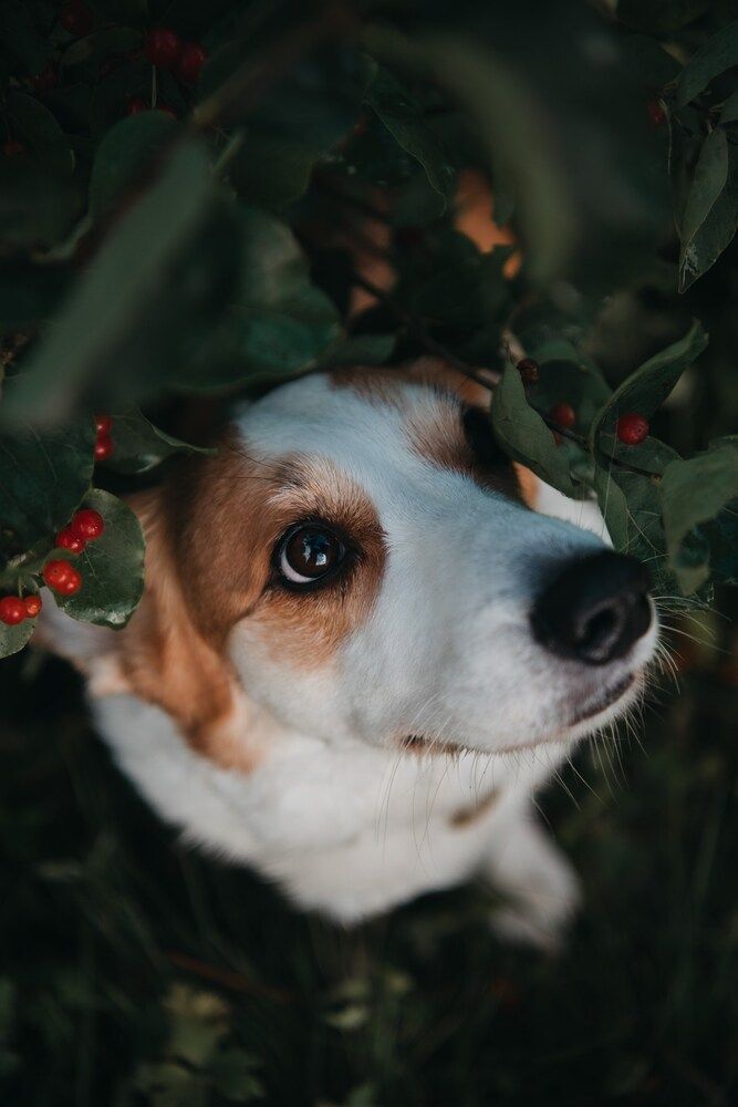 Photograph by Маргарита Богуславская