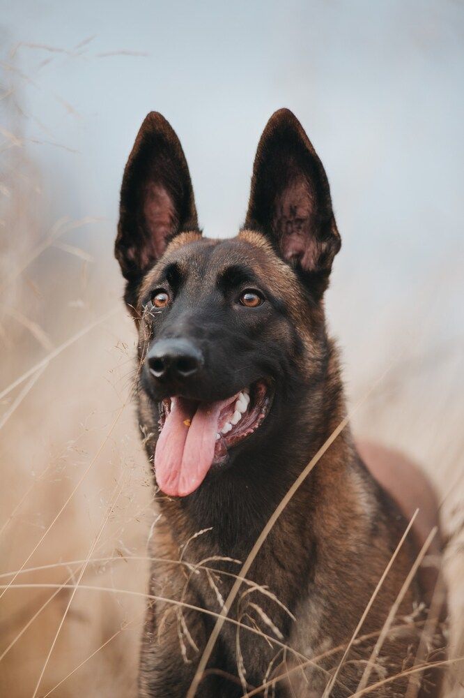 Photograph by Маргарита Богуславская