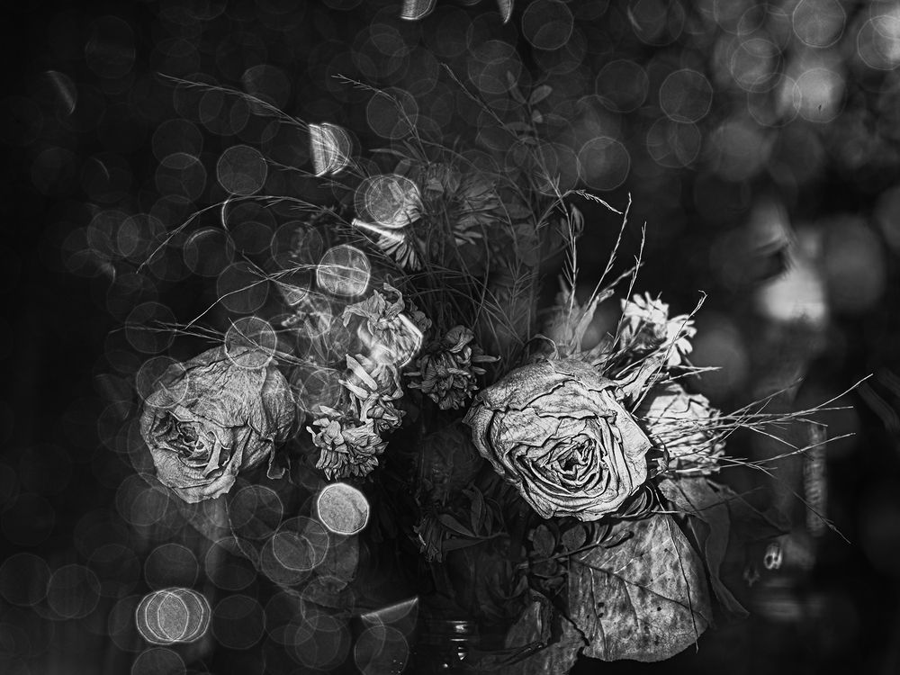 Photograph by Kveta Novotna