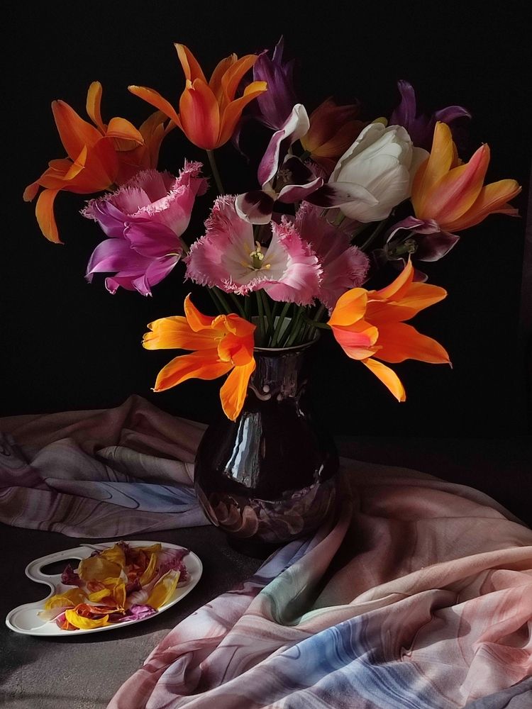 О тюльпанах