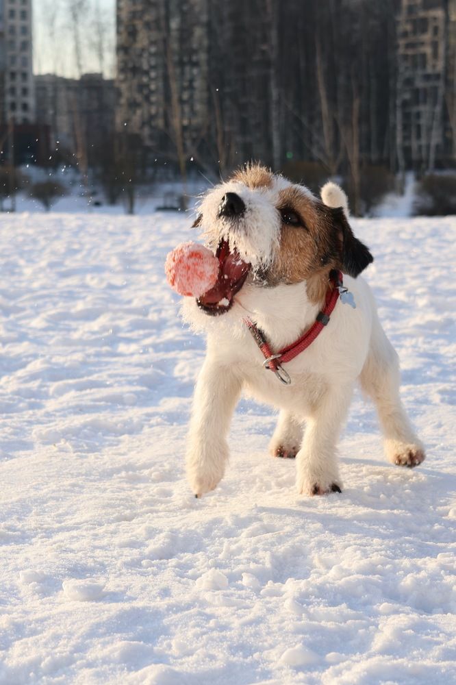 Фотография автора Andrew