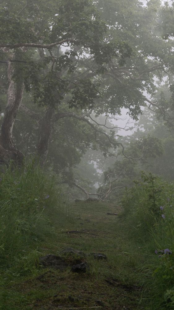 Photograph by Elena V