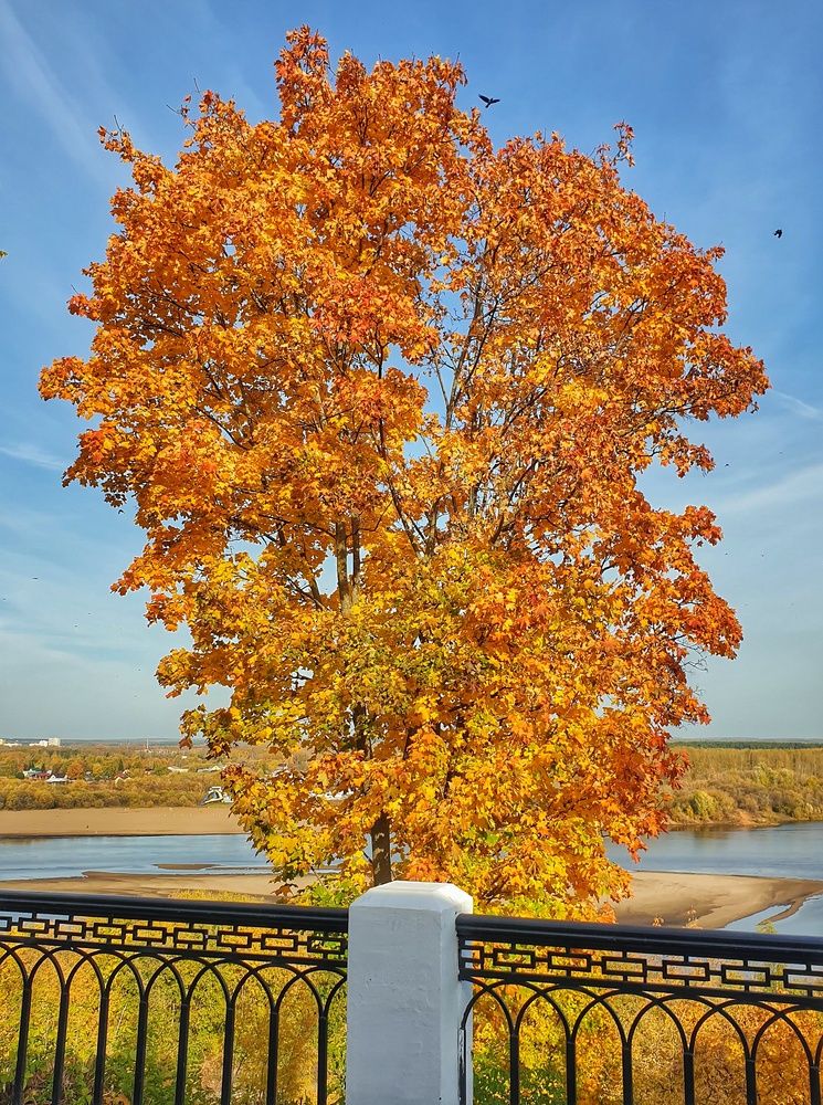 Photograph by Дмитрий Сорокин