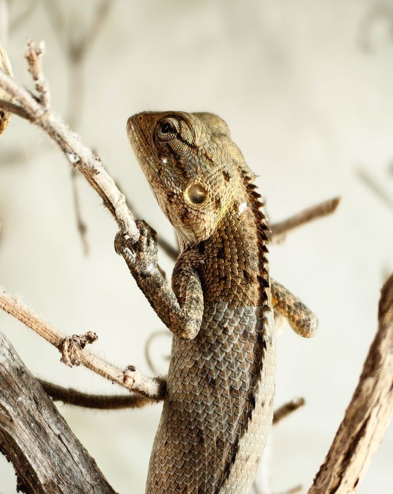 Photograph by Кристина Феминова