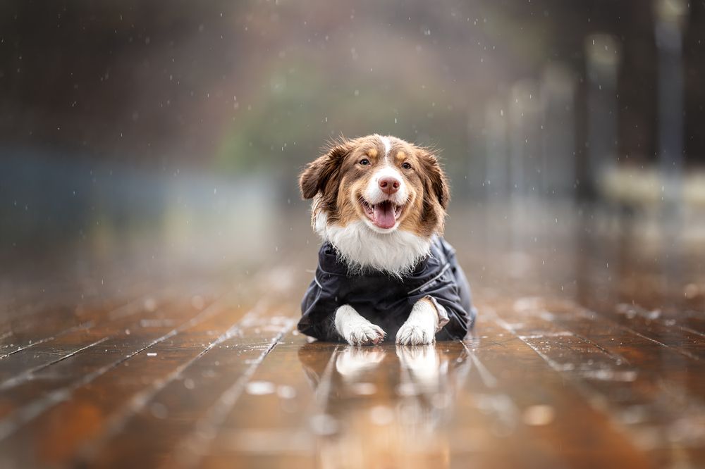 Photograph by Ирина Голомб