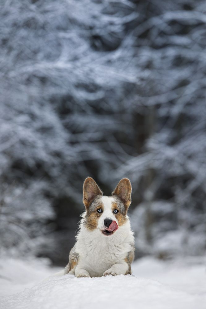 Photograph by Мария Комратова