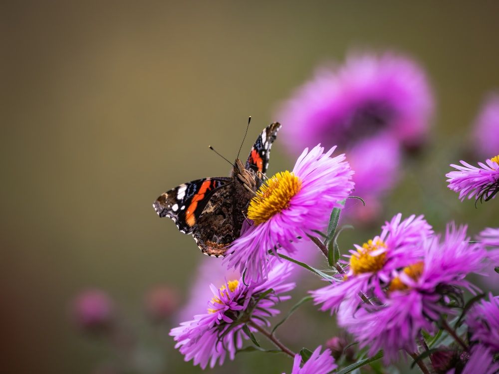 Photograph by Хабаров Сергей