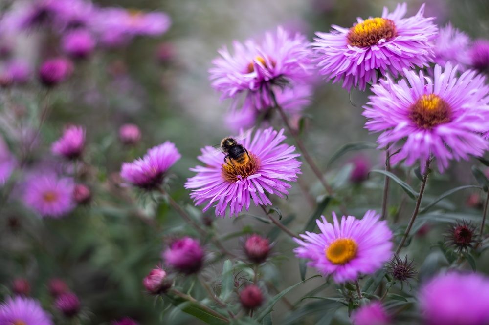 Photograph by Хабаров Сергей