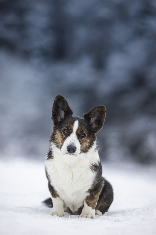 Photograph by Мария Комратова