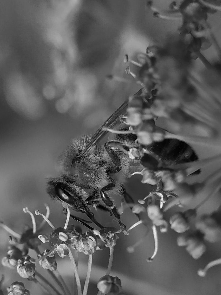 Photograph by Maryna Kukhtsikava