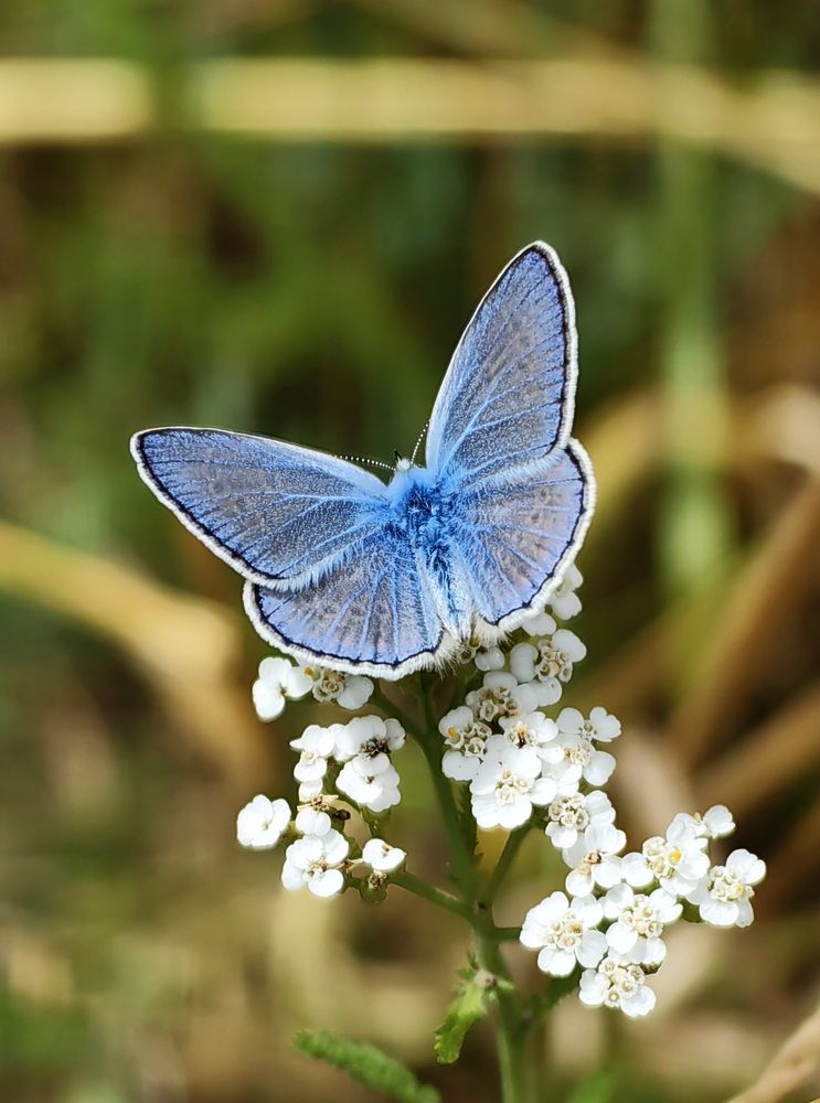 Photograph by Кристина Феминова