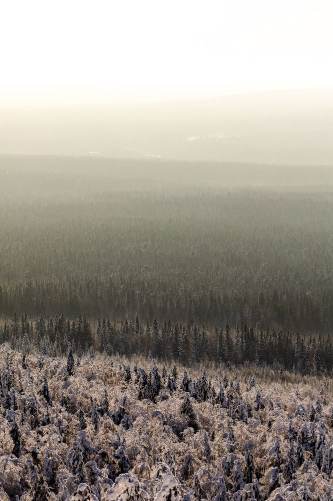 Photograph by Родион Нарудинов