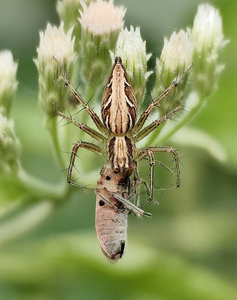 Photograph by Кристина Феминова