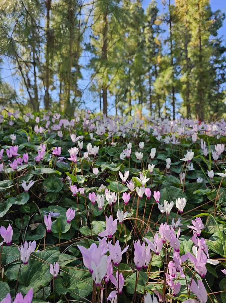 Фотография автора Oksana Podgorodetska