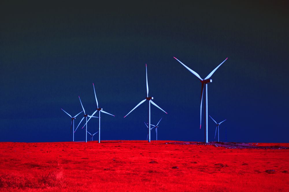 Photograph by Nikita