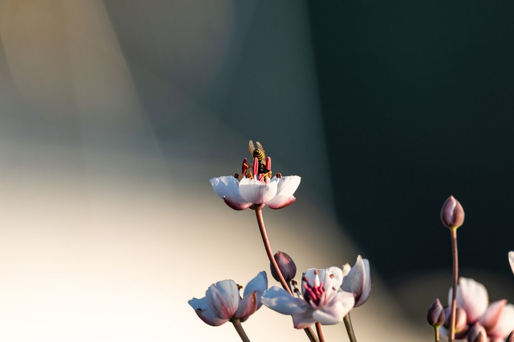 Photograph by Хабаров Сергей