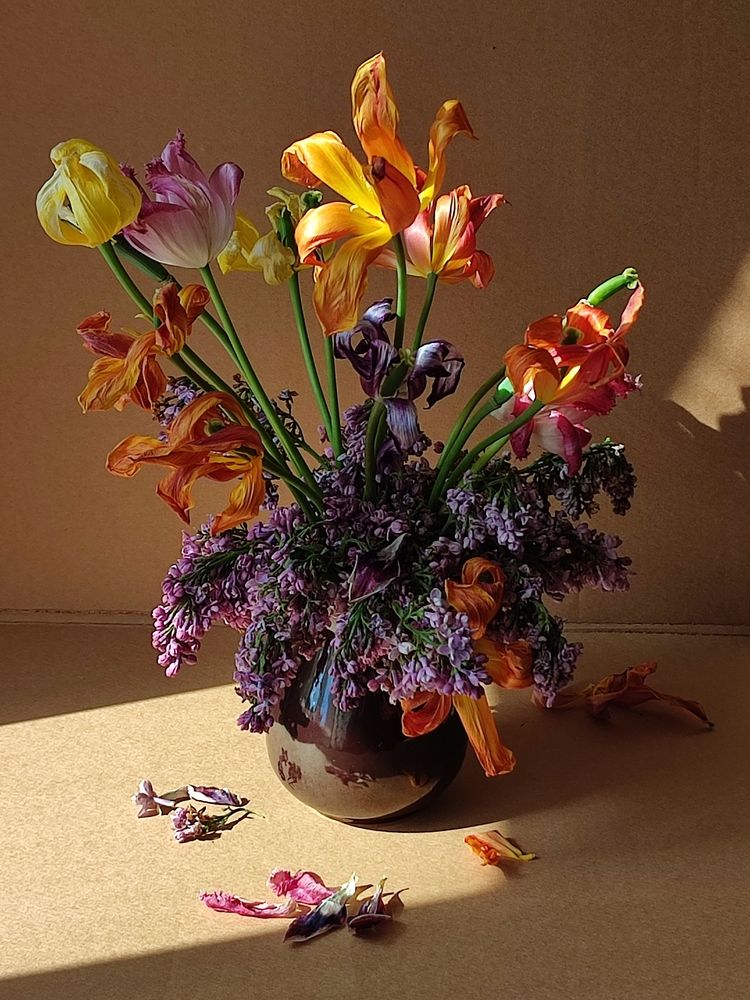 Натюрморт с тюльпанами