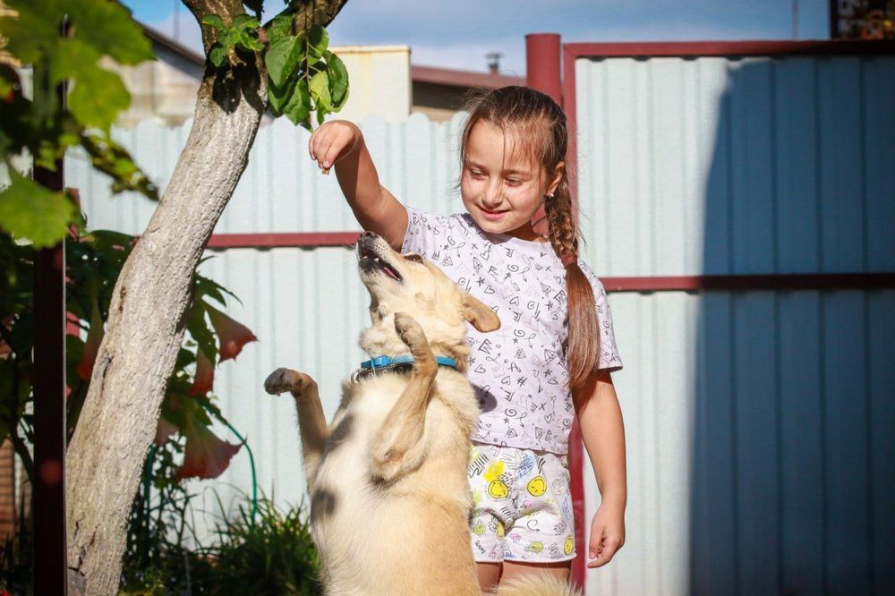 Photograph by Марина Миклашевич