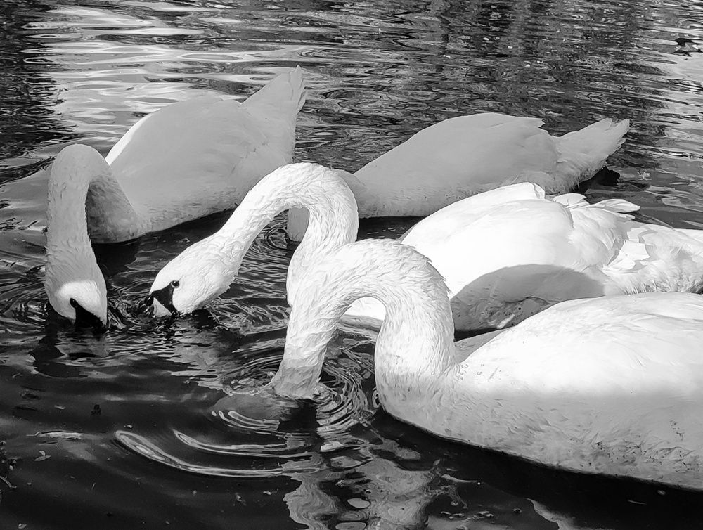 Photograph by Алеся Маклакова