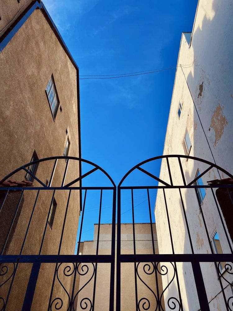 Фотография автора NATALYA OZHEGOVA