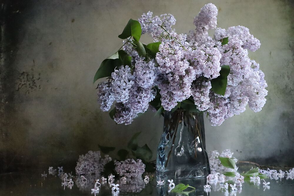 Photograph by Наталия Тихомирова