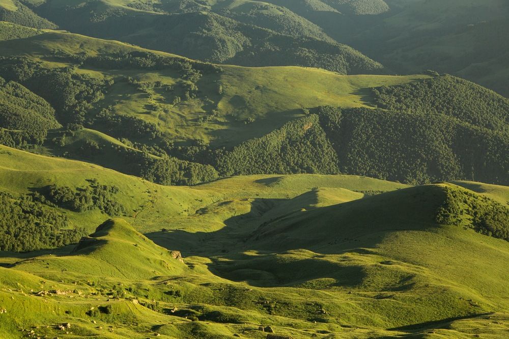 Photograph by Татьяна Мустафина