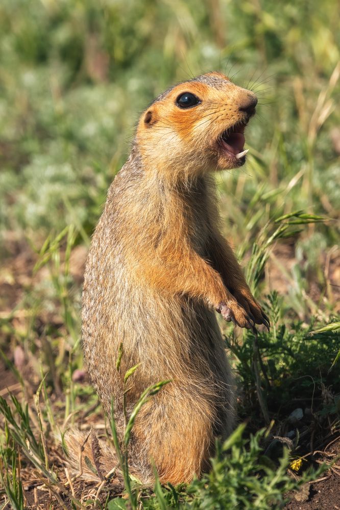 Photograph by Дудников Александр