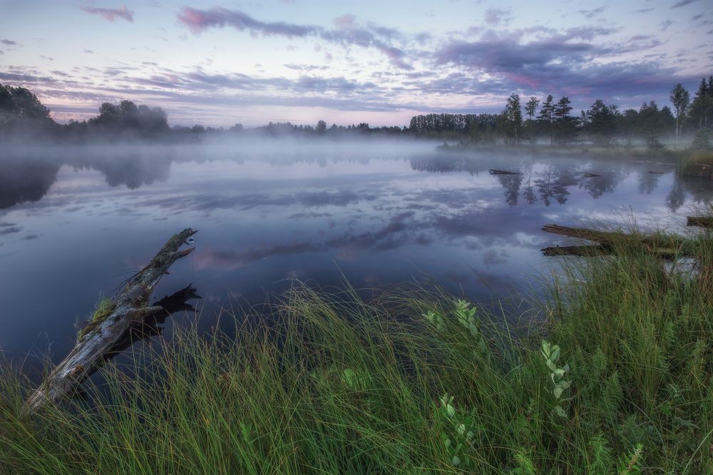 Photograph by Щепотина Татьяна