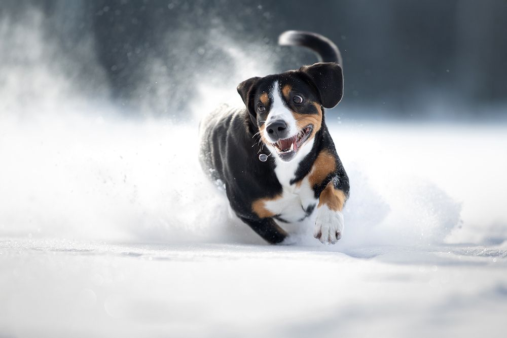 Photograph by Светлана Писарева