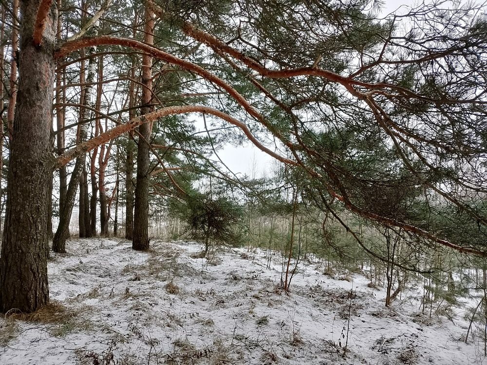 Photograph by Александр Гришин