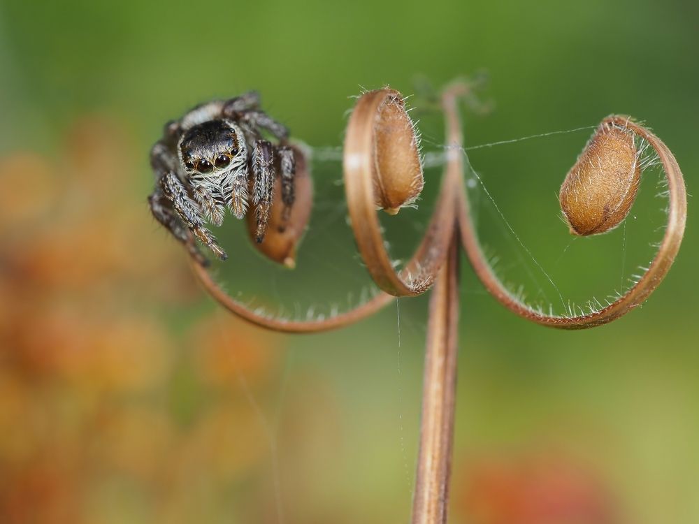 Photograph by Максим Кошелев