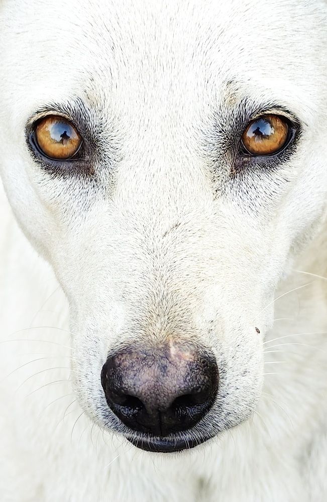 Photograph by Кристина Феминова