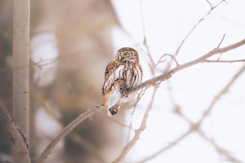 Photograph by Никита Филиппов