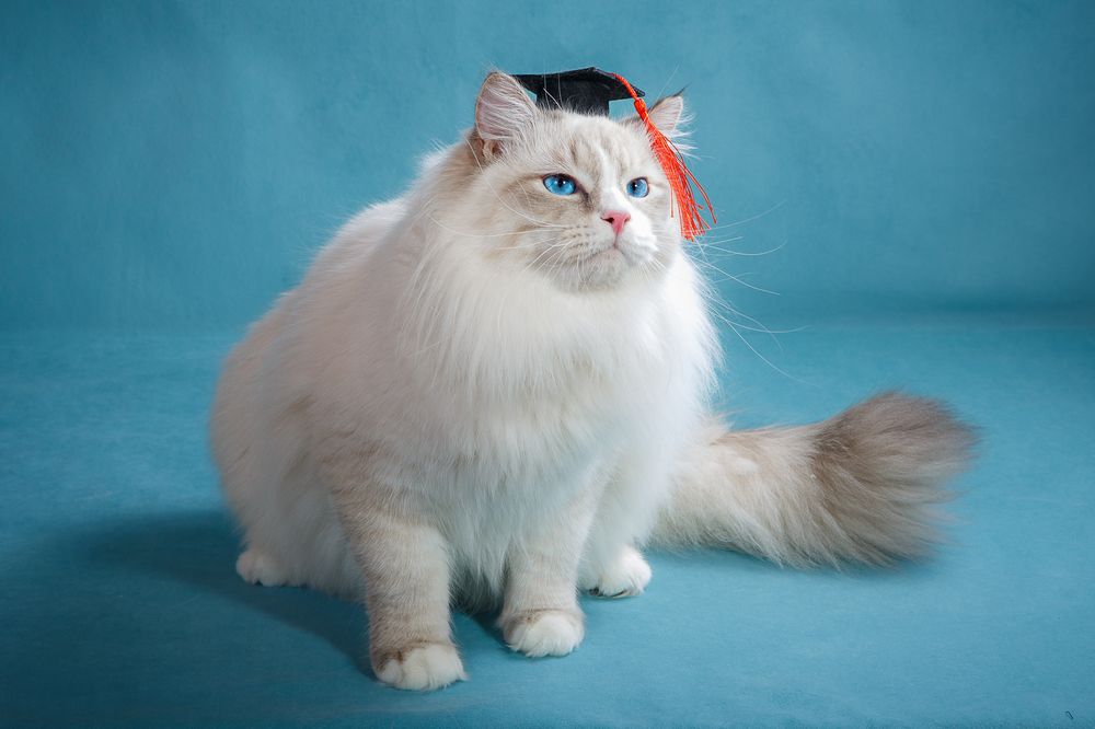 Photograph by Людмила Бандурина