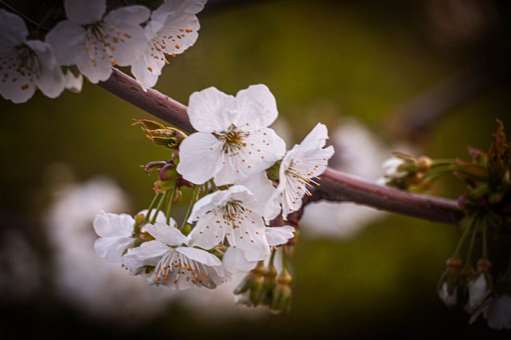 Photograph by Romina Moniri