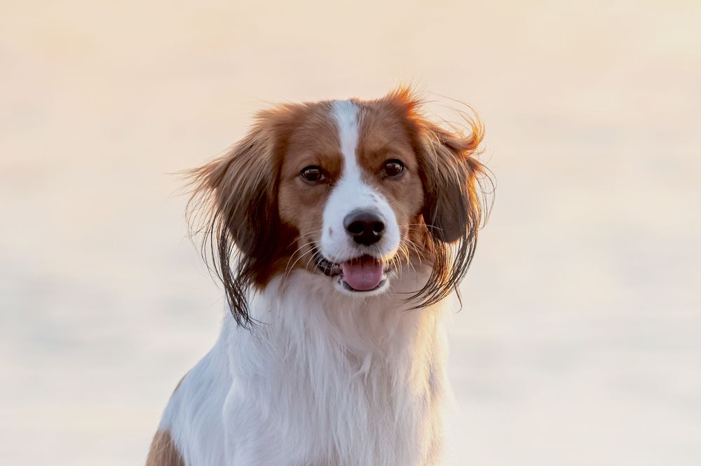 Photograph by Мария Новоселецкая