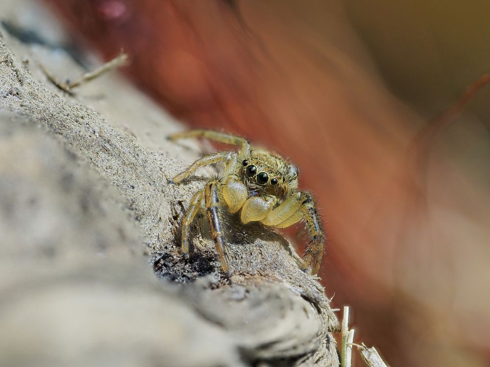 Photograph by Максим Кошелев