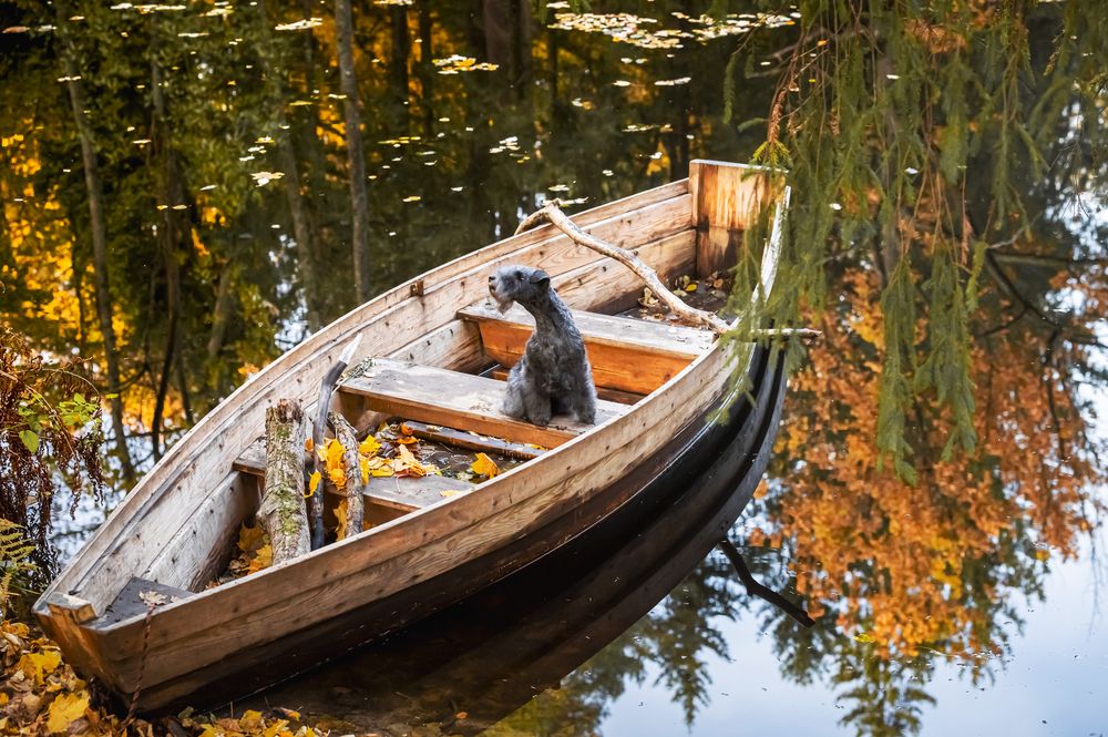 Photograph by Мария Новоселецкая