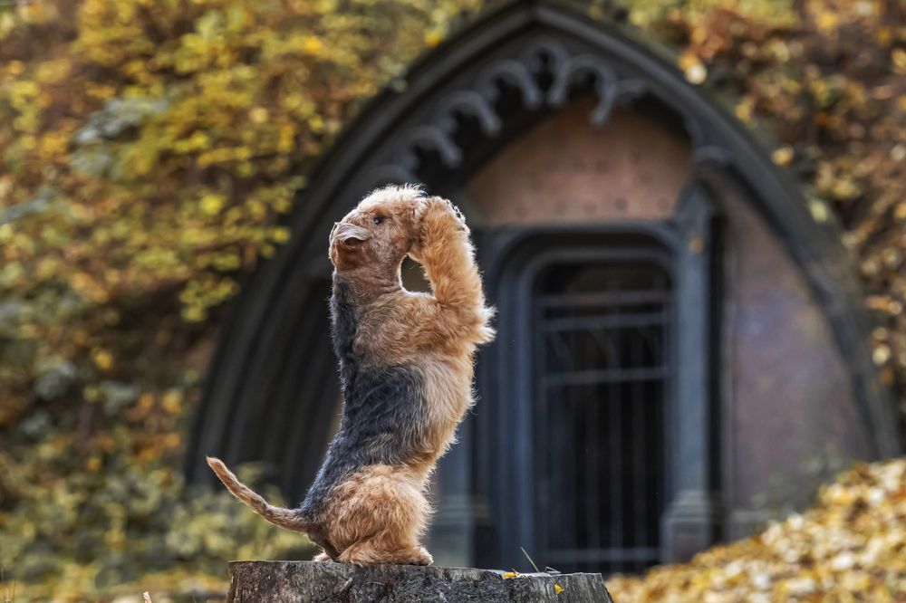 Photograph by Мария Новоселецкая