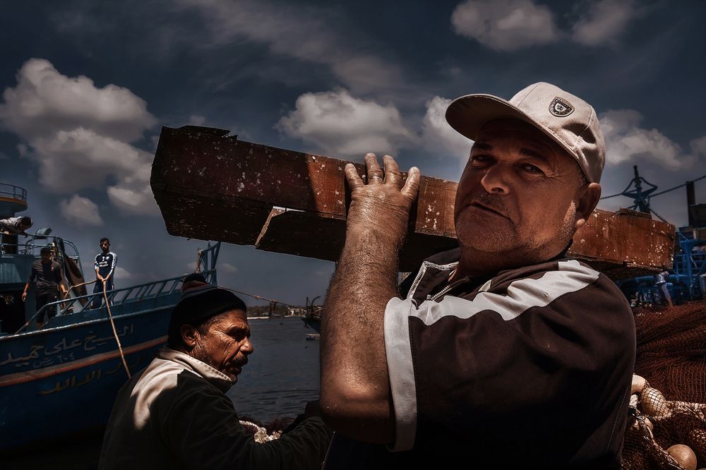 Photograph by  Shady