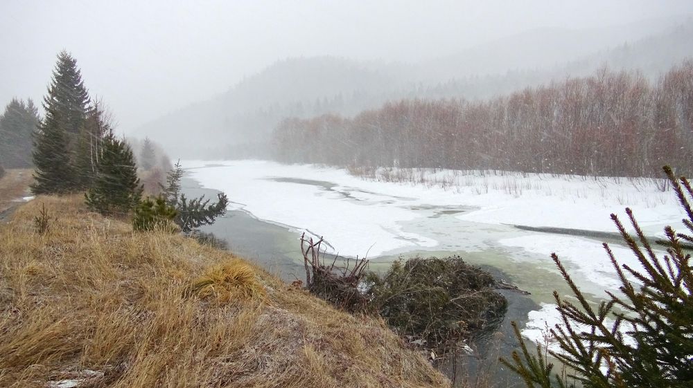 Photograph by Юрий Тимофеев