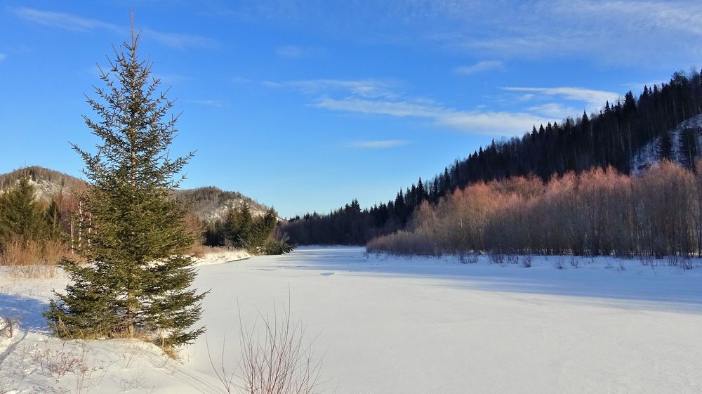 Photograph by Юрий Тимофеев