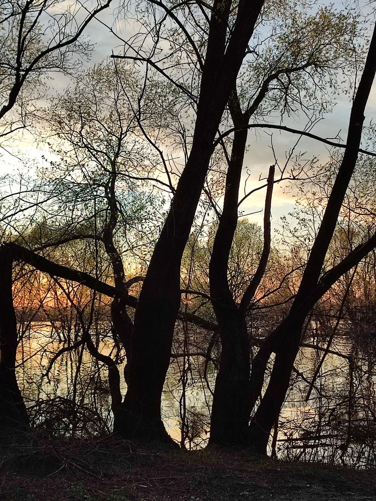 Photograph by Galina Novichkova