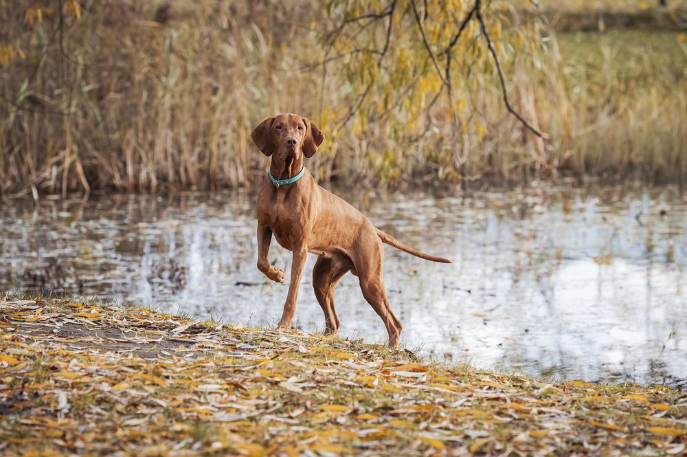 Photograph by Мария Новоселецкая