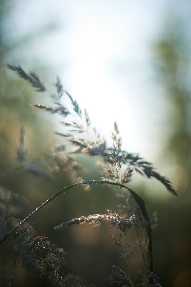 Photograph by Inna Tatarchenko