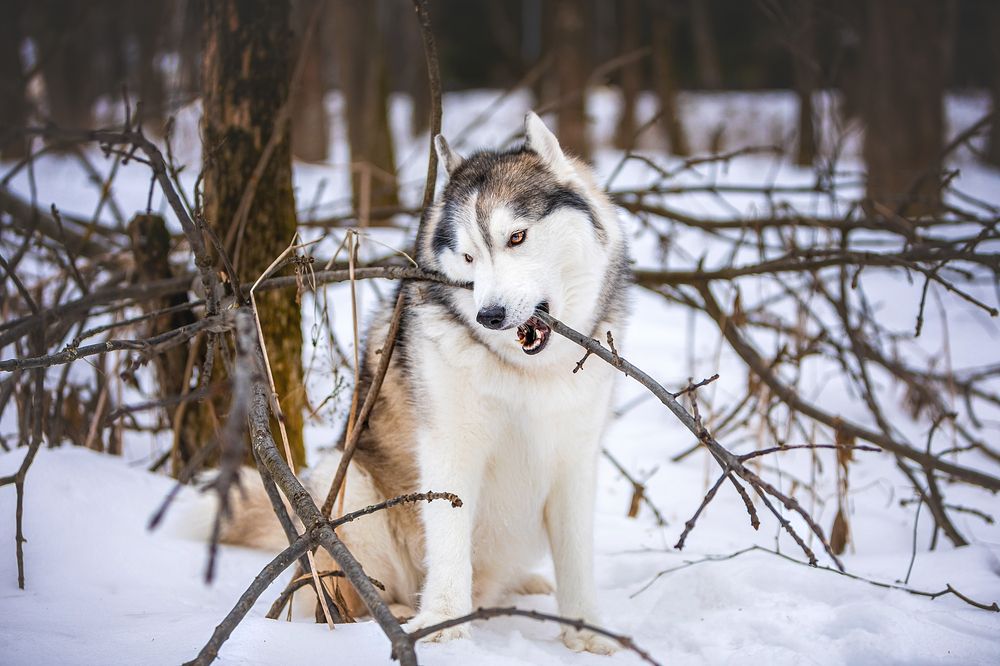 Photograph by Марина Соловьева